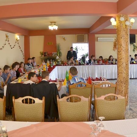 Pensiunea La Palaguta Baia Mare Eksteriør bilde