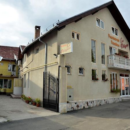 Pensiunea La Palaguta Baia Mare Eksteriør bilde