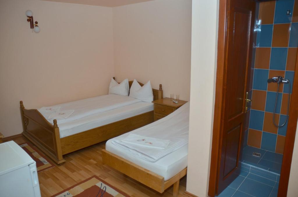 Pensiunea La Palaguta Baia Mare Rom bilde