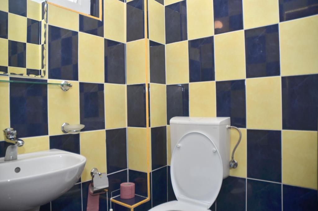Pensiunea La Palaguta Baia Mare Rom bilde