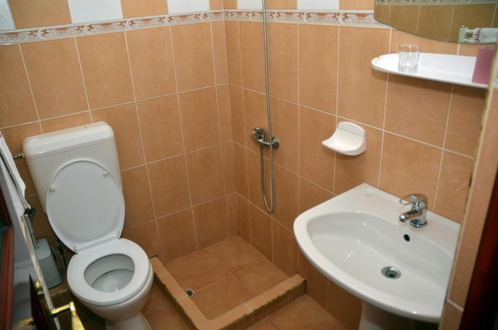 Pensiunea La Palaguta Baia Mare Rom bilde