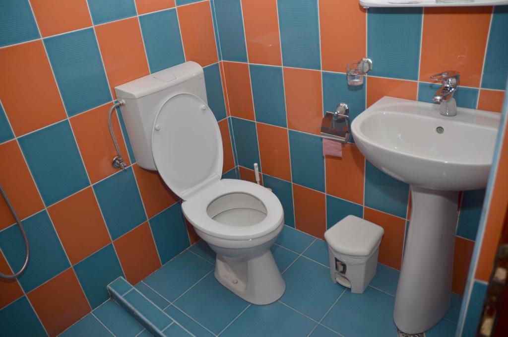 Pensiunea La Palaguta Baia Mare Rom bilde